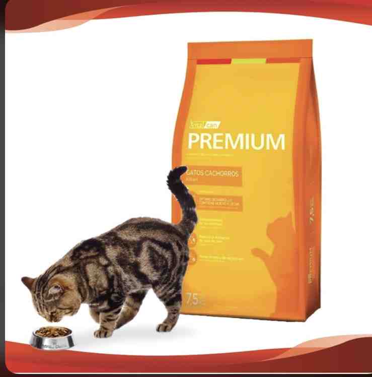 VITAL CAN PREMIUN GATO KITTEN  X 7,5 KG 